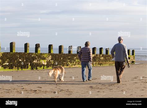 couple walking their dog on the beach in wales Stock Photo - Alamy