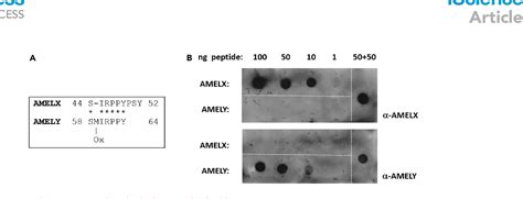 Antibody Based Sex Determination Of Human Skeletal Remains Semantic