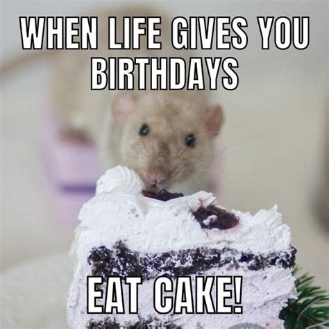 50 Funny Birthday Cake Memes For Him And Her