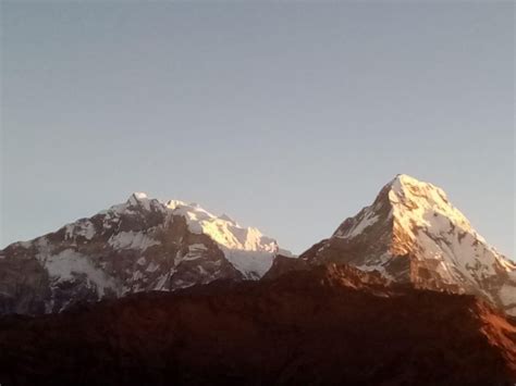 Von Pokhara 4 Nächte 5 Tage Poon Hill Ghandruk Trek GetYourGuide