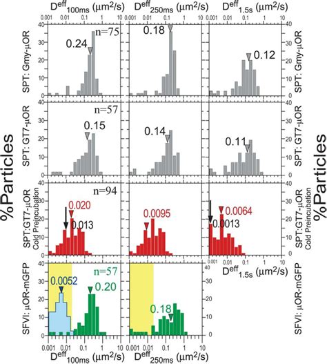 Rapid Hop Diffusion Of A G Protein Coupled Receptor In The Plasma