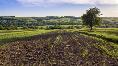 Lege Nou N Monitorul Oficial V Nzarea Unui Teren Agricol Devine Nul