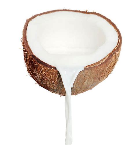 Using Coconut Milk in Gluten-Free Recipes | Elana's Pantry