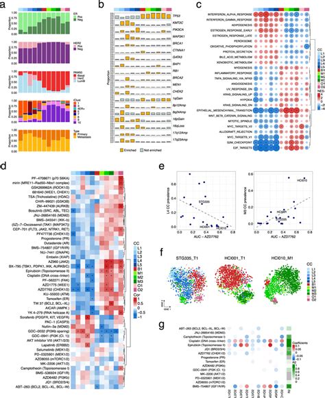 Integration Of Pdtx Cell Phenotypes With Molecular Features And