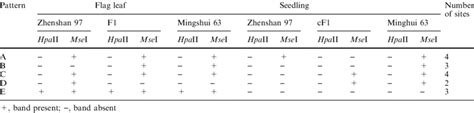 Tissue Speci®c Cytosine Methylation In ¯ag Leaves And Seedlings