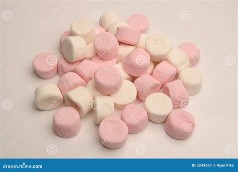 Marshmallows stock image. Image of candy, roast, shapes - 5243667