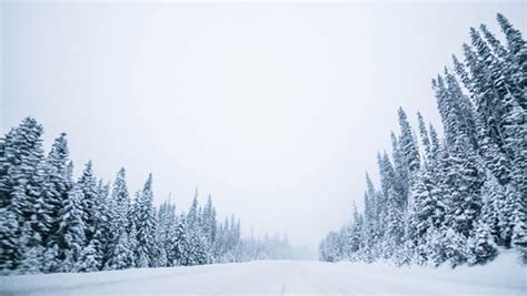 National park anticipating heavy snow | CTV News