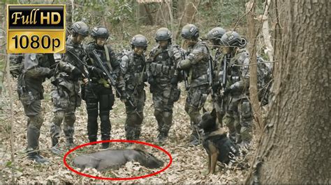 軍犬帶領特種兵們成功突圍找到俘虜，不料俘虜竟然是一只野豬！⚔️ 战争 Mma Kung Fu 特种兵 Youtube