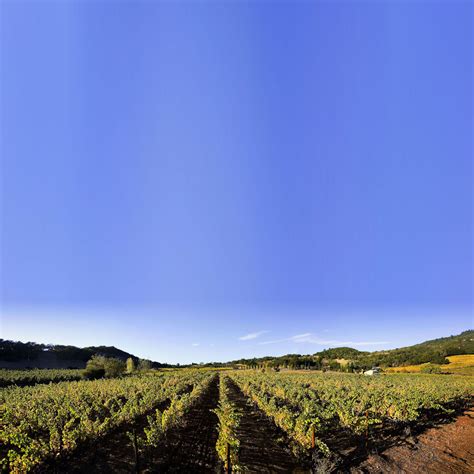 Our Vineyards - Benziger Family Winery | Benziger Estate Vineyards