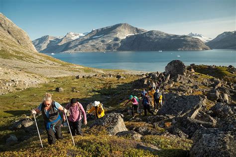 Wild Fjords Of South Greenland Land Of The Vikings Intrepid Travel Au