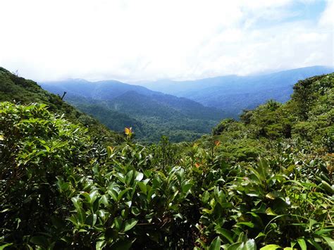 The Monteverde Cloud Forest Reserve Costa Rica Know Before You Go