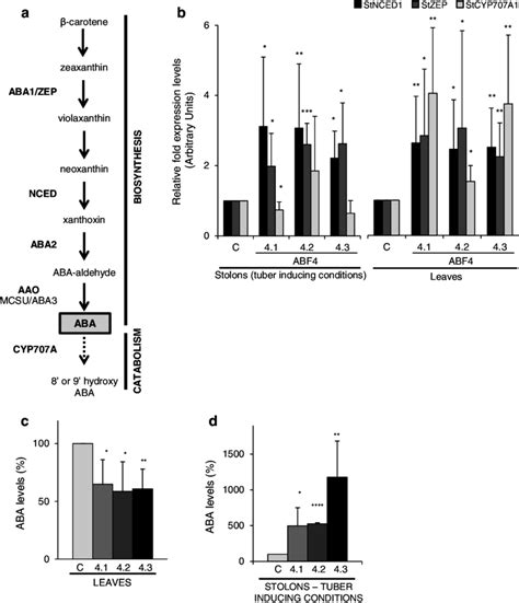 Aba Metabolism Gene Expression And Aba Levels In Abf4 Plants A Scheme Download Scientific