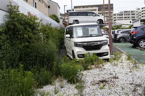 Push to go electric could wipe out Japan’s cheap microcars - The Japan ...