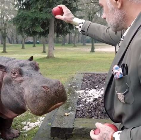 Gianluca Vacchi E L Ippopotamo Dago Fotogallery