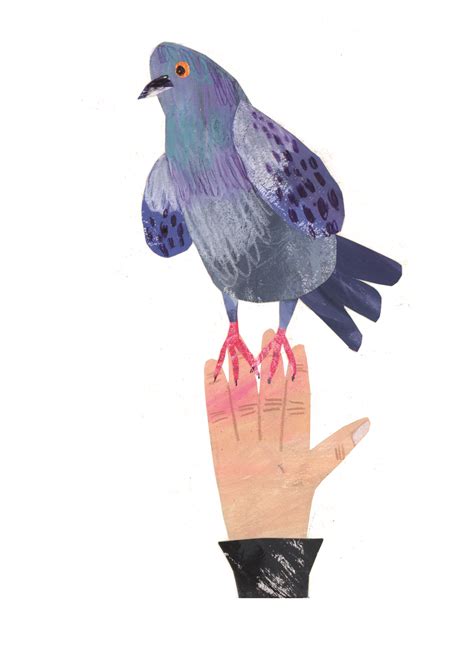 Pigeon Feeder - The home of illustrator Lizzie Hodgkinson