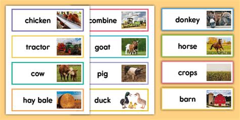 Farm Word Cards Profesor Hizo Twinkl