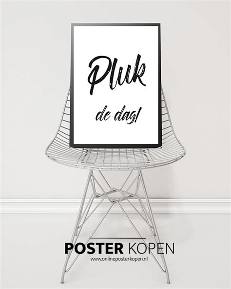 tekst poster  poster pluk de dag  tekst op poster   poster kopen