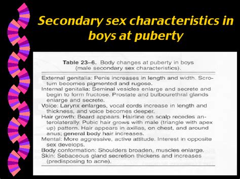 Secondary Sex Characteristics In Boys At Puberty