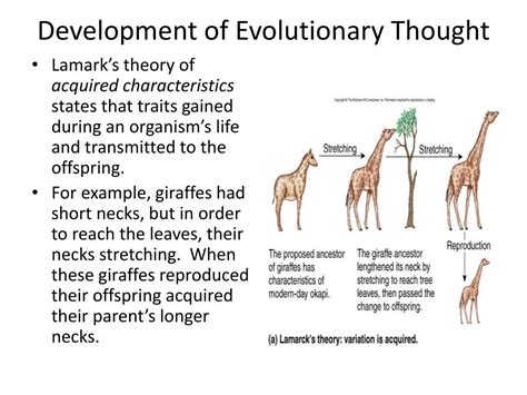 Ppt Chapter Evolution And Natural Selection Powerpoint