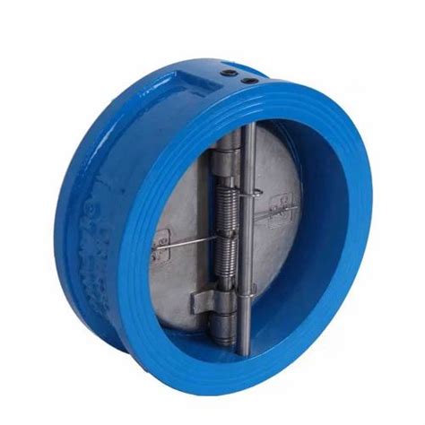 Ss Non Return Valve Wafer Type Ci Non Return Valve Manufacturer From Ahmedabad