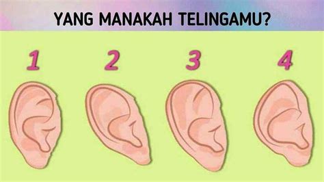 Gambar Telinga Manusia Cermin