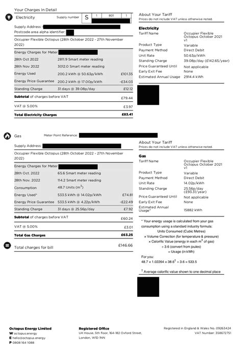 Octopus Energy Bill Explained