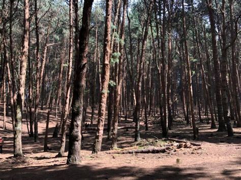 top  tourist attractions  kodaikanal
