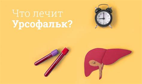 Урсофальк инструкция по применению, цена: Для чего назначают, аналоги ...