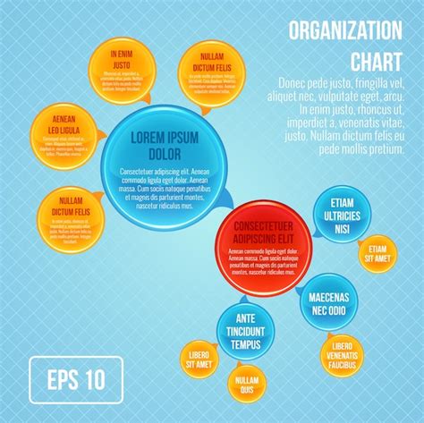 Organigramm Infografik Business Blasen Kreis Arbeit Struktur Vektor