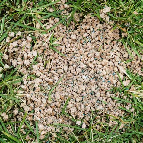 How To Use One Step Complete To Repair Your Lawn