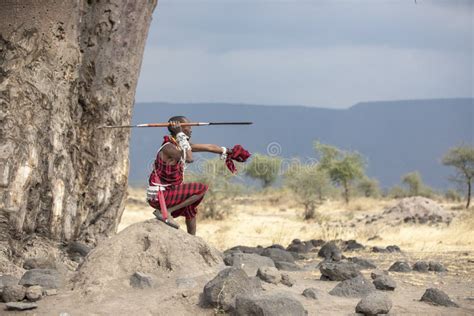 Maasai Warrior In A Landscape Of Northern Tanzanian Savannah Editorial