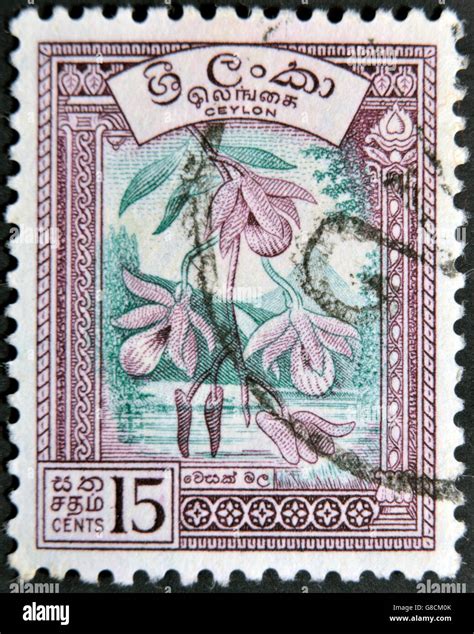 Ceylon Circa A Stamp Printed In The Ceylon Sri Lanka Shows