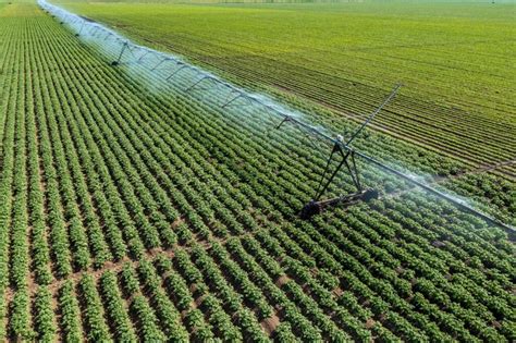 Un sistema de desalinización se inspira en el océano para generar agua