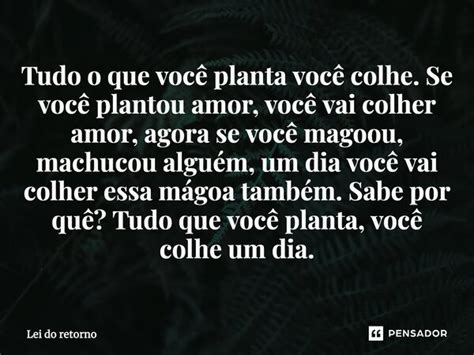 Tudo o que você planta você colhe Se Lei do retorno Pensador