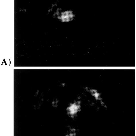 A Image Of Probe Beam Vacuum Focal Spot 1e 2 Diameter 9 Mm B Image