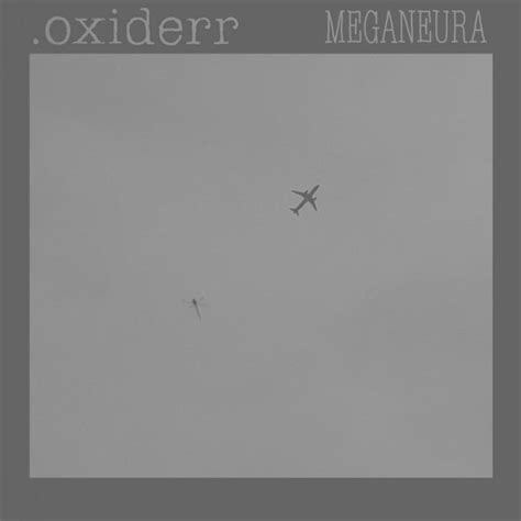 Oxiderr Meganeura Oc R Darkambient