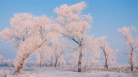 Paisaje De Escarcha Y Ensue O En Jilin Cgtn En Espa Ol