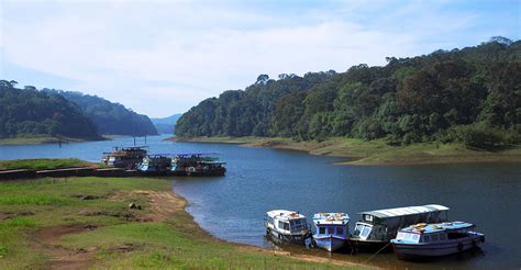 Thekkady | Great Escape