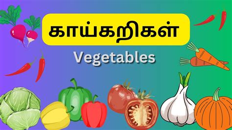 காய்கறிகள்vegtables Name In Tamillearn Vegetable Names In Tamil Youtube