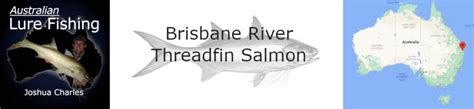 Brisbane Threadfin Salmon Joshua Charles Doc Lures Podcast