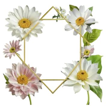 Photo Frame With Flowers Photo With Flowers Beautiful Photo With