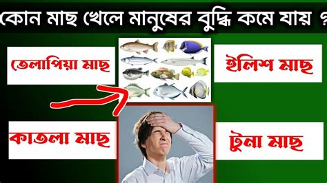 কোন মাছ খেলে মানুষের বুদ্ধি কমে যায় L General Knowledge L Bangla Quiz