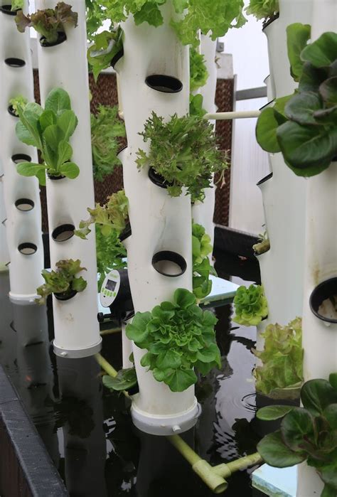 Vertical Growth Arkansan’s Hydroponic Towers Make Gardening More Efficient