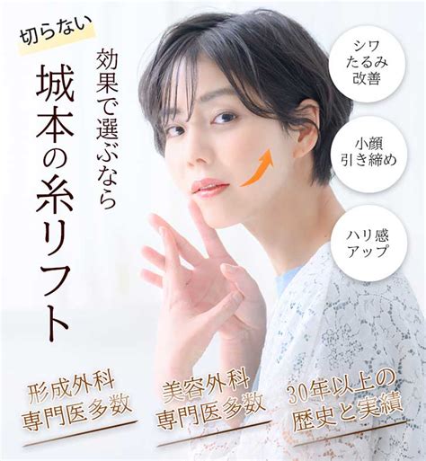 アントのオ フェイスリフティング熱リフト機 Buy Thermolift Face Lifting Thermolift Face Thermolift Product モデル