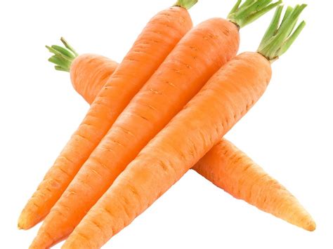 Carrot Extract Daucus Carota Sativa Carrot Root Extract Botanical