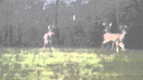 3 East Texas Bucks 2 18 2012 YouTube