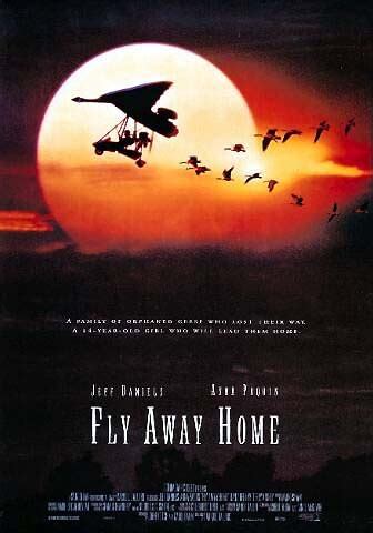 Fly Away Home- Soundtrack details - SoundtrackCollector.com