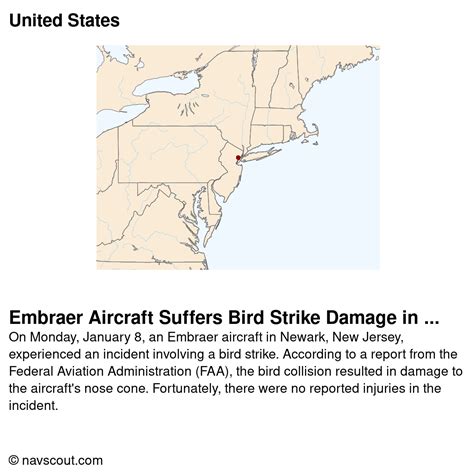 Embraer Aircraft Suffers Bird Strike Damage in Newark, No Injuries Reported