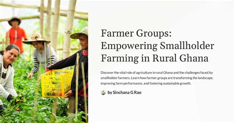 Farmer Groups Empowering Smallholder Farming In Rural Ghana