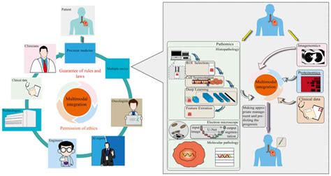 Artificial Intelligence In Cancer Pathology Challenge To Meet